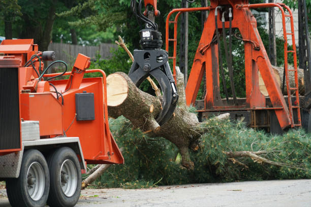 Lawn Grading and Leveling in Lewiston, ME